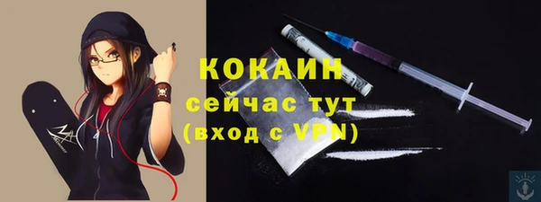 мяу мяу мука Арсеньев