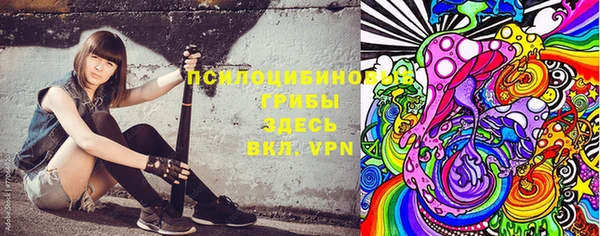 амф Алексин