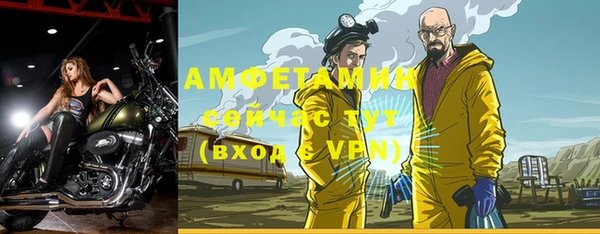 амф Алексин