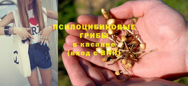mdpv Алзамай