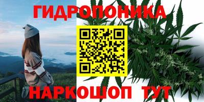 соль курить ск Сертолово