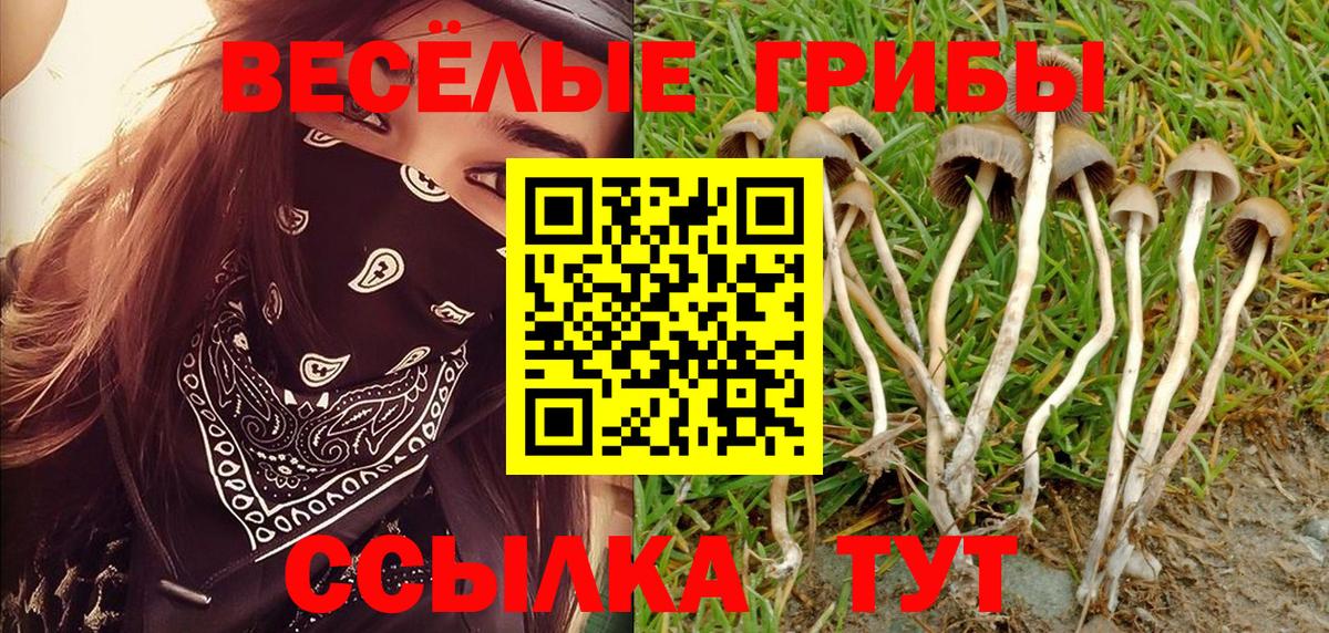 Галлюциногенные грибы Magic Shrooms Кирово-Чепецк