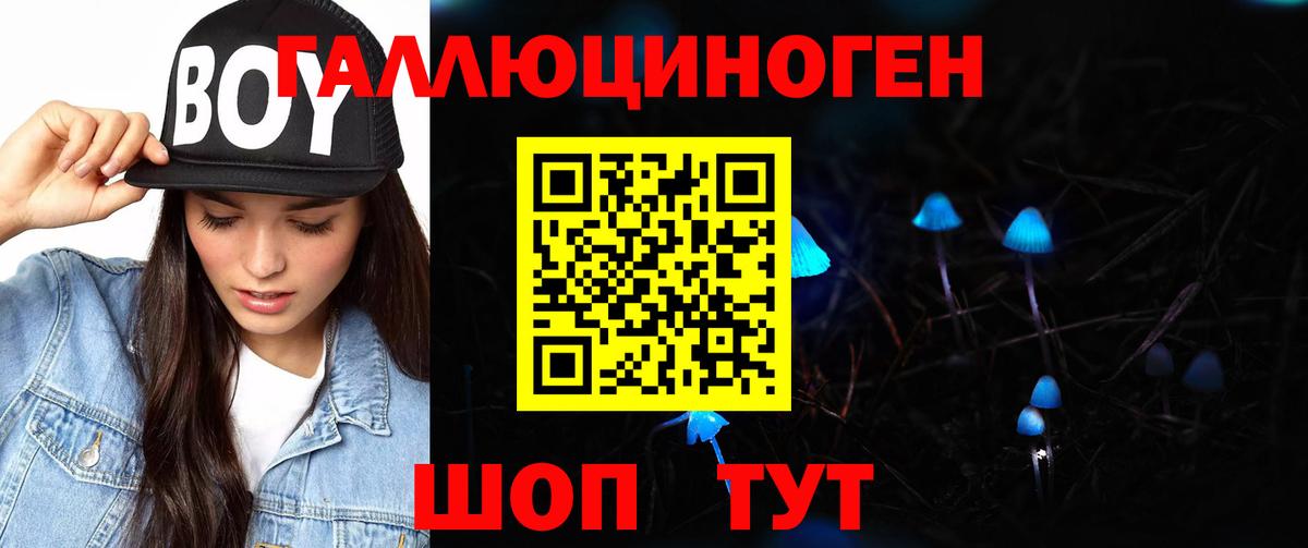 магазин  наркотиков  Вход с VPN  Кирово-Чепецк  Галлюциногенные грибы GOLDEN TEACHER 