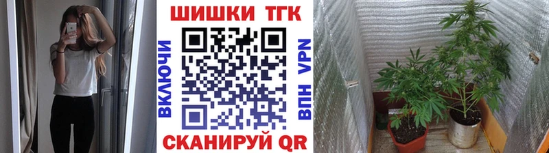 Канабис сатива Кирово-Чепецк